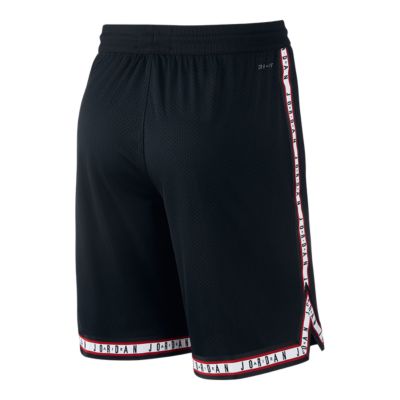 jumpman mesh shorts