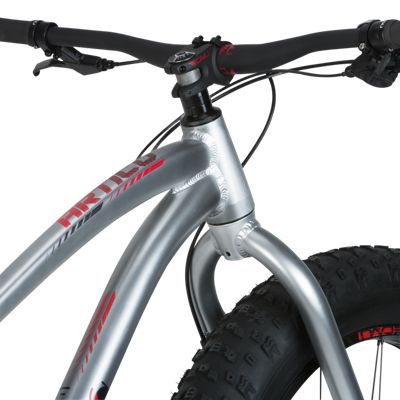 sport chek fat bike