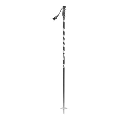 sport chek walking sticks