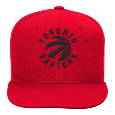 nike raptors hat