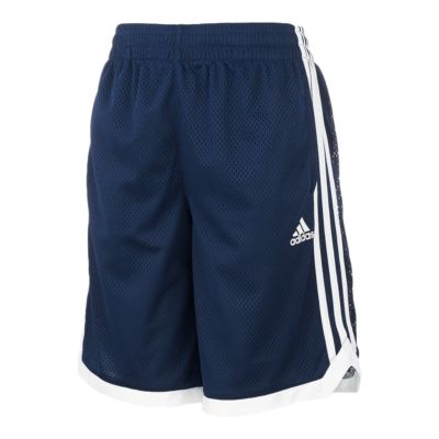 boys blue adidas shorts