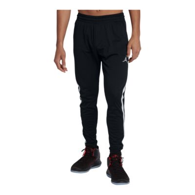 alpha dry pant jordan