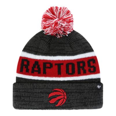 raptors knit hat