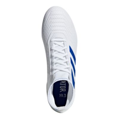 adidas predator 19.3 white and blue