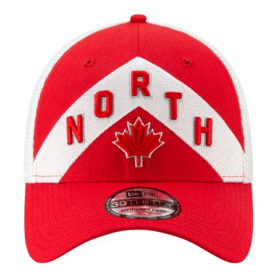 toronto raptors 39thirty hat