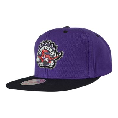 raptors hat purple