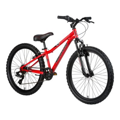 sport chek nakamura bike
