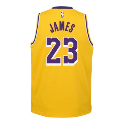 Youth Los Angeles Lakers LeBron James 