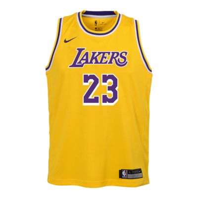 Youth Los Angeles Lakers LeBron James 