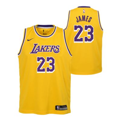 lebron lakers jersey youth