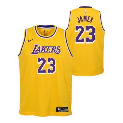 lebron james lakers jersey signed