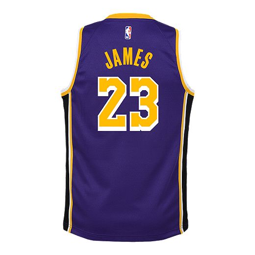 Youth Los Angeles Lakers LeBron James Statement Purple Jersey ...