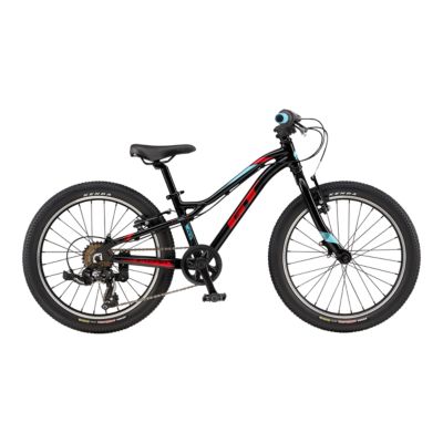 sport chek 20 inch bike