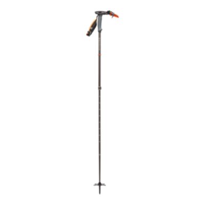 sport chek walking sticks