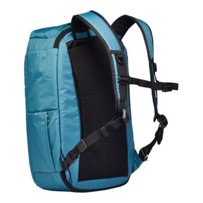 pacsafe daypack