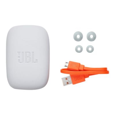 jbl endure dive