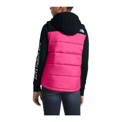 the north face hooded vest