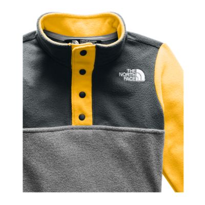 toddler north face glacier fleece