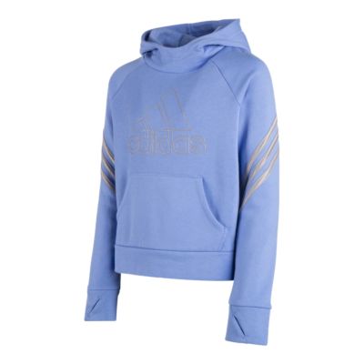 blue adidas pullover