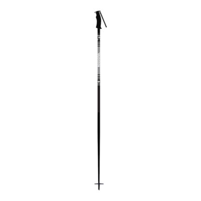 sport chek walking sticks