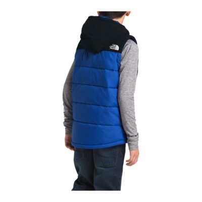 the north face hooded vest