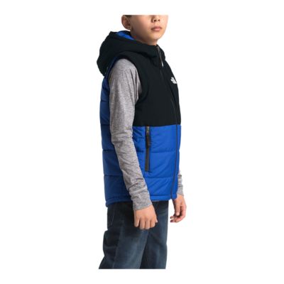 the north face boys vest