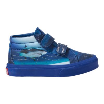 vans shark week shoes