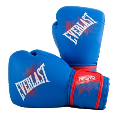 everlast training kit