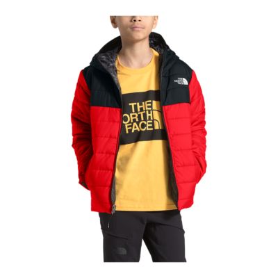 junior boys north face coat