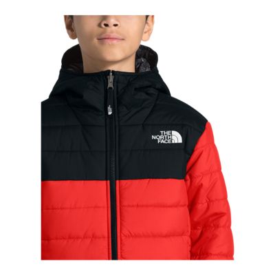 the north face boys vest