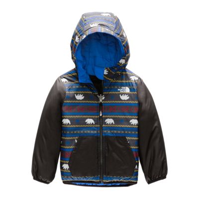 toddler north face denali 3t