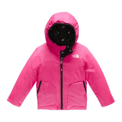 the north face toddler girl jacket
