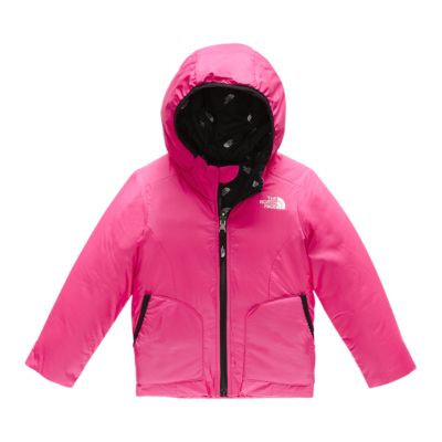 toddler girl north face sale