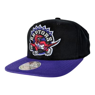 toronto raptors cap mitchell and ness