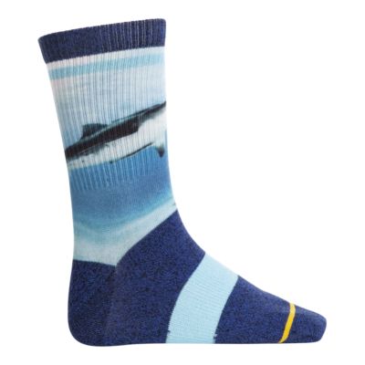 boys shark socks