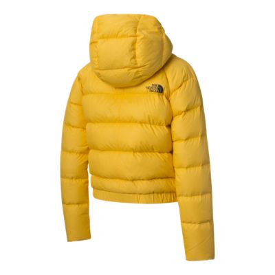 hyalite hoodie the north face