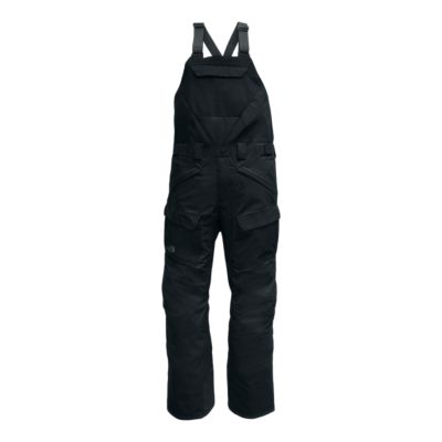 the north face men's freedom bib shell pants