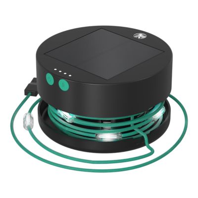 Luci Solar String Lights Sport Chek