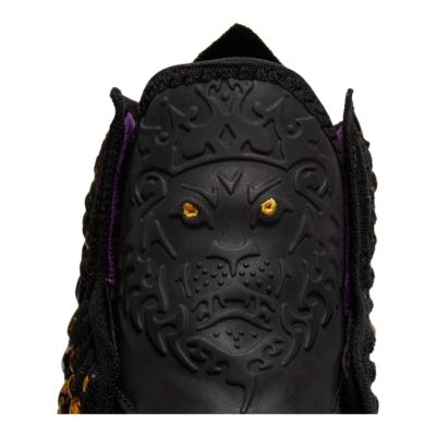 lebron leather shoes