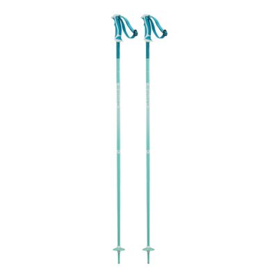 salomon arctic ski poles