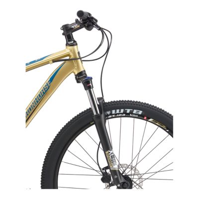 iron horse men's mountain bike