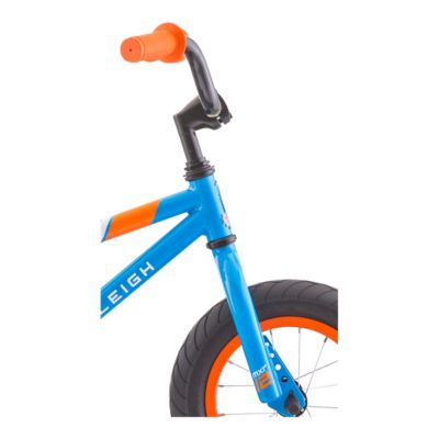 raleigh kids bike