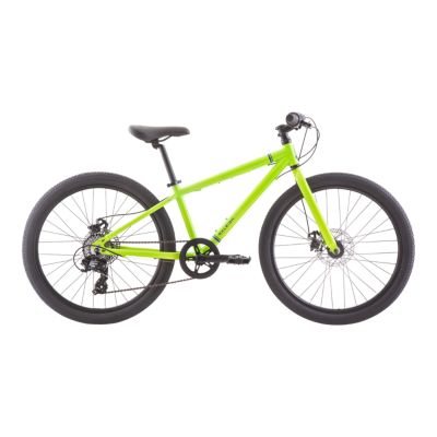 sport chek 20 inch bike