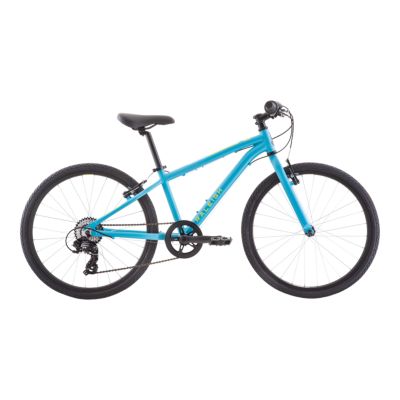 cheap adult mountain bikes