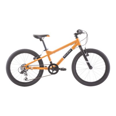 raleigh eva 24 girl's mountain bike