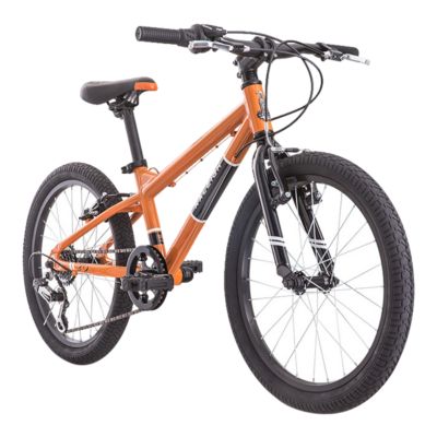 raleigh rowdy 20 review