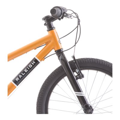 raleigh rowdy 20 green