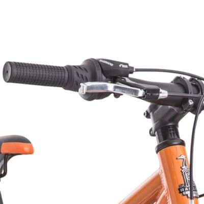 raleigh rowdy 20 green
