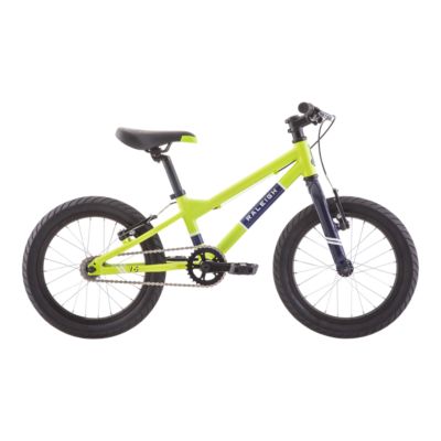 sport chek strider bike