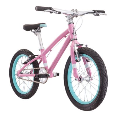 raleigh kids bike